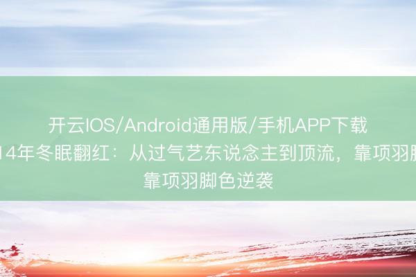 开云IOS/Android通用版/手机APP下载 何润东14年冬眠翻红：从过气艺东说念主到顶流，靠项羽脚色逆袭