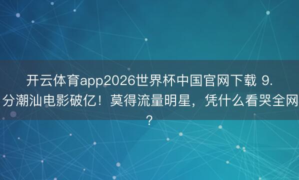 开云体育app2026世界杯中国官网下载 9.1分潮汕电影破亿!莫得流量明星,凭什么看哭全网?