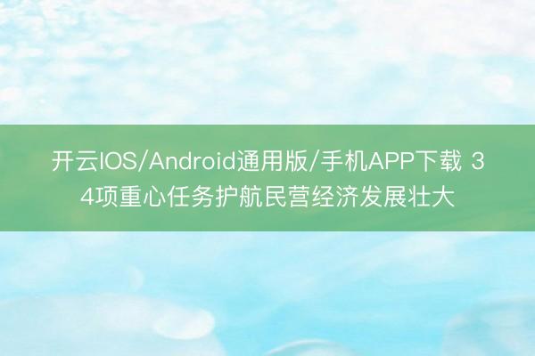 开云IOS/Android通用版/手机APP下载 34项重心任务护航民营经济发展壮大