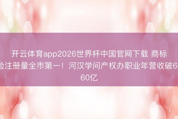 开云体育app2026世界杯中国官网下载 商标灵验注册量全市第一!河汉学问产权办职业年营收破60亿