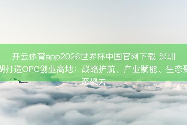 开云体育app2026世界杯中国官网下载 深圳罗湖打造OPC创业高地：战略护航、产业赋能、生态聚力